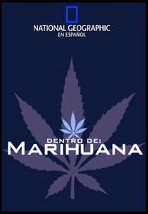 Bastidores (Inside Marijuana)