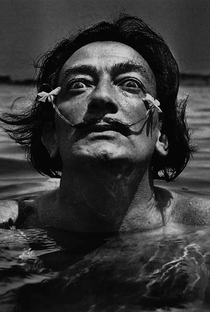 Salvador Dalí - Poster / Capa / Cartaz - Oficial 1