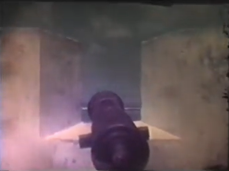 Foto 2 de A Flor do Lácio é Vadia