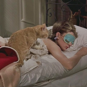 Foto de perfil de Anya