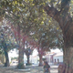 reilgues