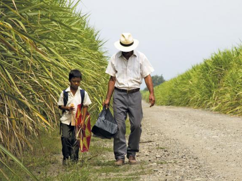 Foto 2 de A Terra e a Sombra