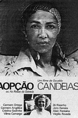 A Opção ou As Rosas da Estrada (Aopção ou As Rosas da Estrada)