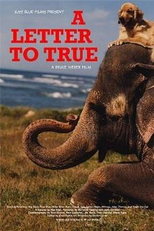 A Letter to True  (A Letter to True )