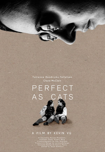 Perfect as Cats (Perfect as Cats)