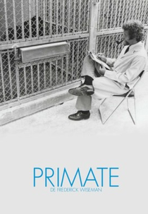 Primate (Primate)