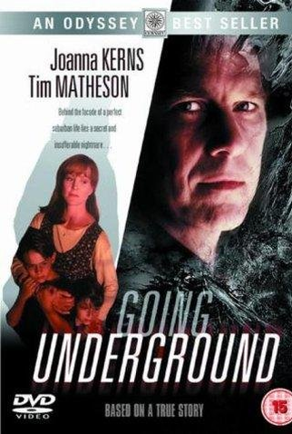 Poster 1 de Filme Vidas Ocultas (1993)