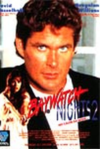 Poster 2 de Filme No Calor da Noite 2 (1997)