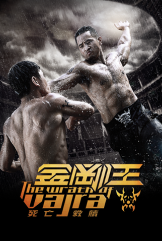 Poster 10 de Filme A Fúria de Vajra (2013)