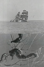 Jack's Dream (Jack's Dream)