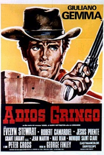 Adeus Gringo - Poster / Capa / Cartaz - Oficial 2