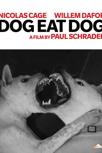  de Filme Cães Selvagens (2016)