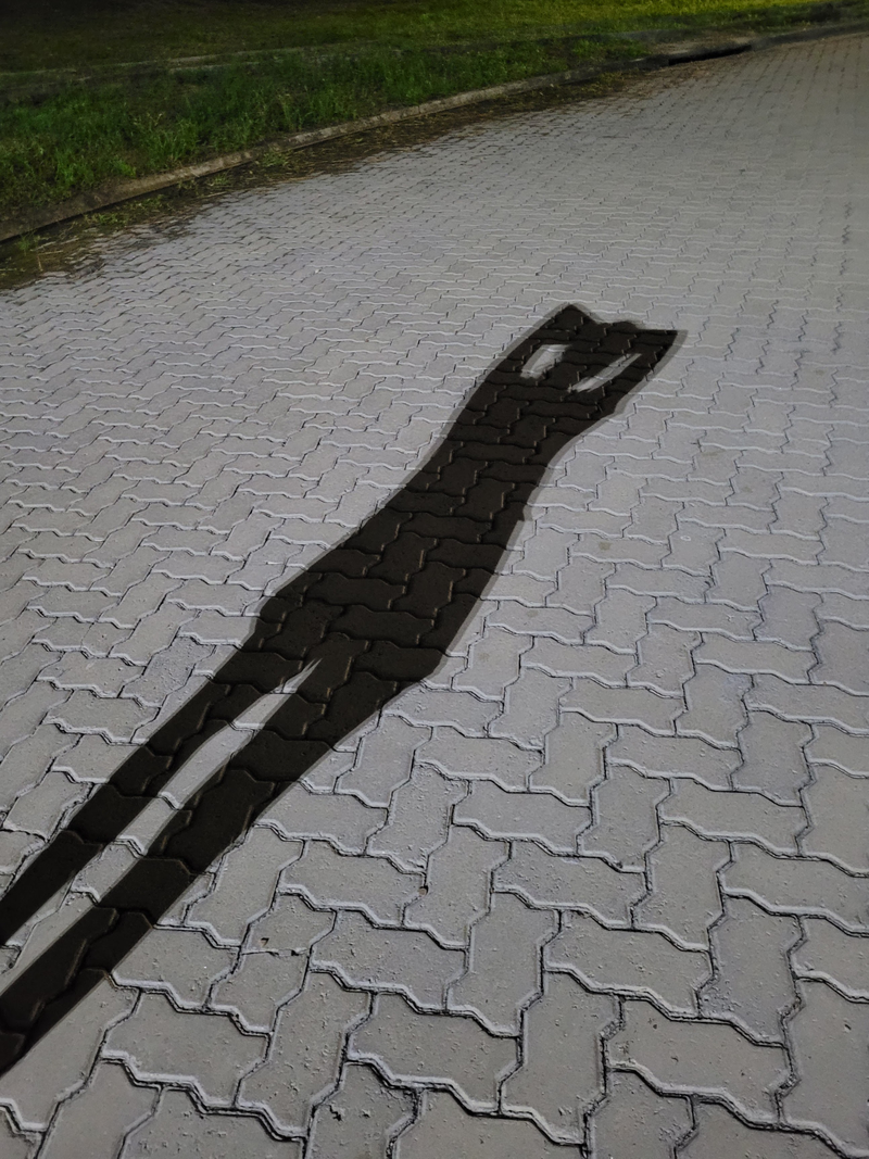 𝔐𝔞𝔯𝔦 - Foto 2