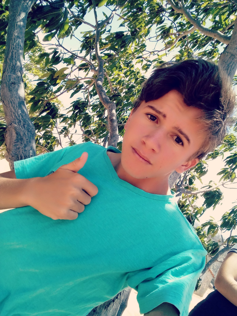 Sebhasttião Alves - Foto 19