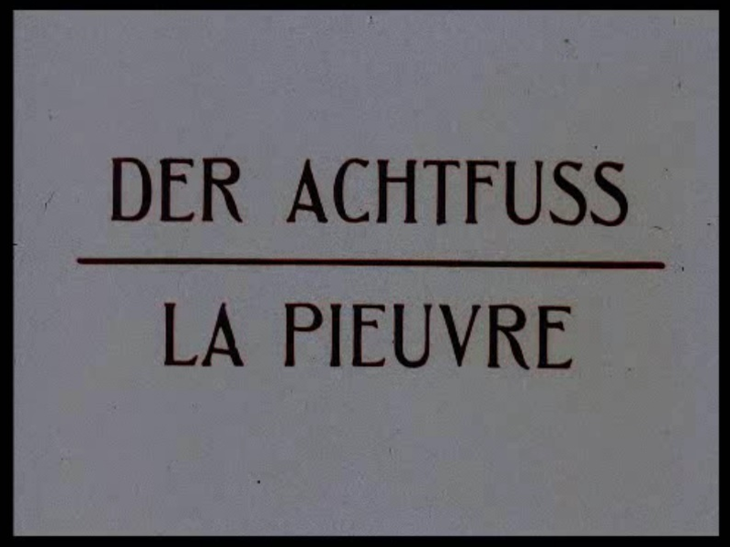 Foto 2 de La Pieuvre