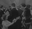 Os Lírios Desbotados