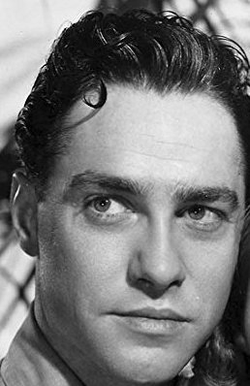 Richard Todd - Foto 3