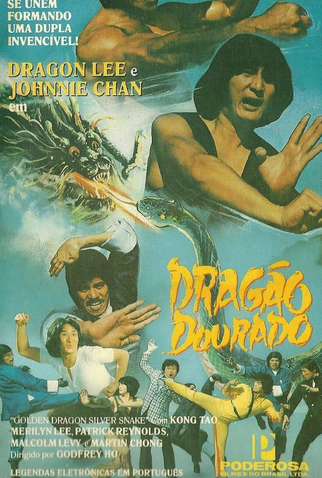 Poster 1 de Filme O Dragão Dourado e a Serpente de Prata (1979)