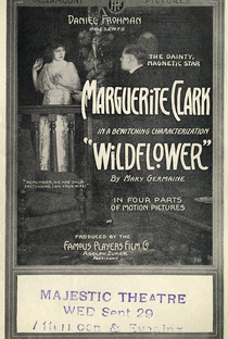 Wildflower - Poster / Capa / Cartaz - Oficial 2