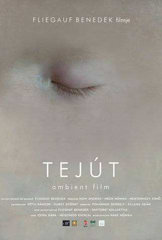 Poster 1 de Filme Tejút (2007)
