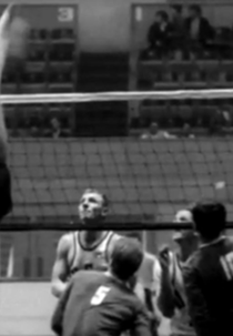 Volleyball (Volleyball)