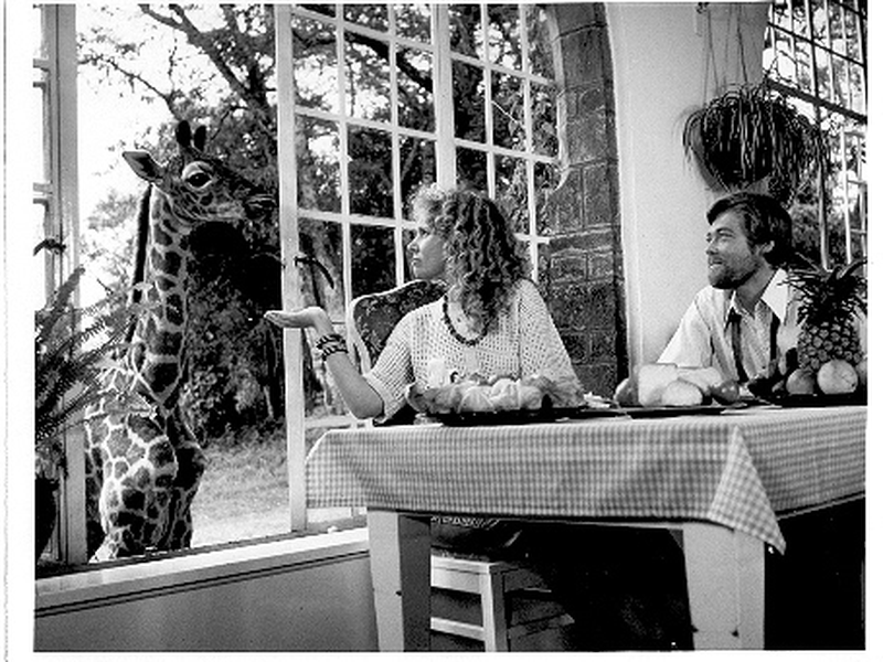 Foto 1 de A Última Girafa