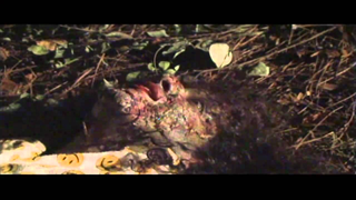 Trailer: Santa vs Zombies by Gary Davis