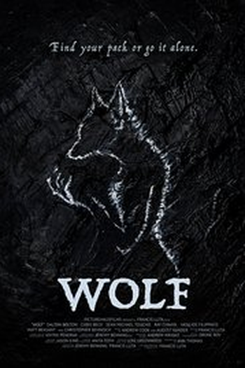 Poster de Curta Wolf (2015)