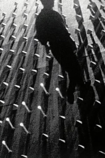 Poster de Curta 29 10 88 (1988)