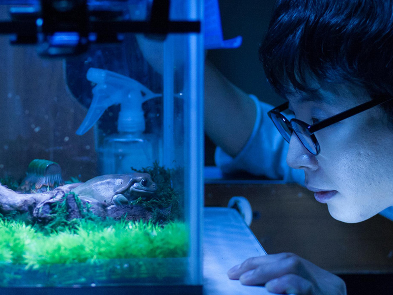 Foto 1 de Blindly in Love