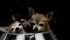 Attack of the 50 Foot Chihuahuas From Outer Space!