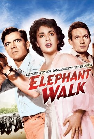 Poster 5 de Filme No Caminho dos Elefantes (1954)