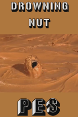 Drowning Nut (Drowning Nut)