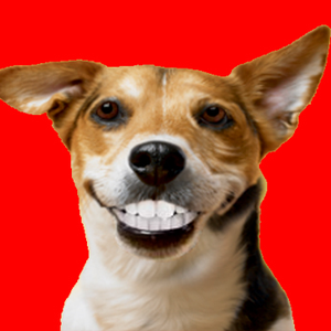 Foto de perfil de Luccamurtoon