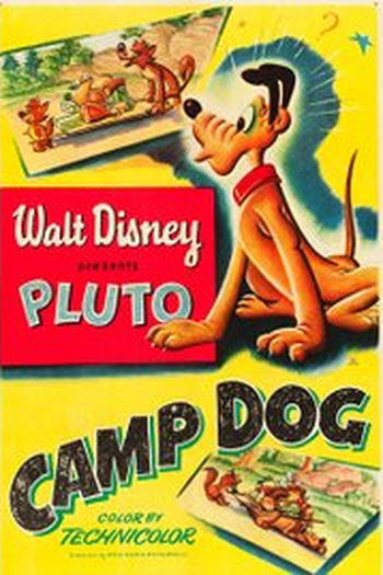 Poster de Curta Cachorro no Acampamento (1950)