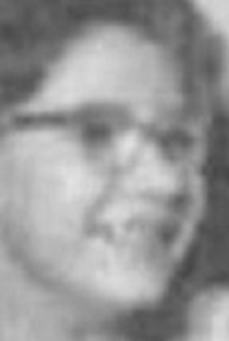 Nonô Pacheco - Poster 1