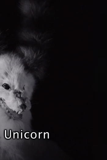 Poster de Curta Unicorn (2015)