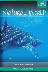 The BBC: Natural World - The Whale Shark (The BBC: Natural World - The Whale Shark)
