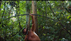 A Última Floresta | Trailer Oficial