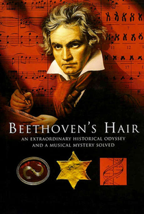 O Segredo do Cabelo de Beethoven - Poster / Capa / Cartaz - Oficial 1