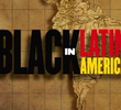 Negros Na América Latina - Brasil: Um Paraíso Racial?