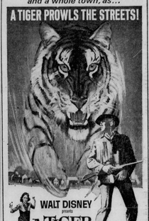 Um Tigre Caminha pela Noite - Poster / Capa / Cartaz - Oficial 3