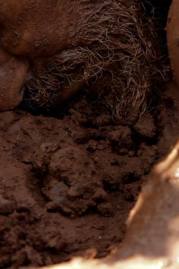  de Curta Casa Afogada (2011)