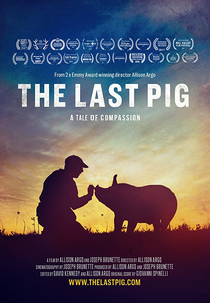 O Último Porco (The Last Pig)