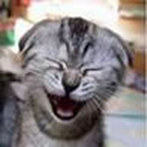 Foto de perfil de Rodolfo Iwazawa