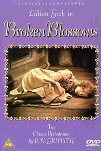  de Filme Lírio Partido (1919)