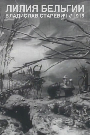 Poster de Curta O Lírio da Bélgica (1915)