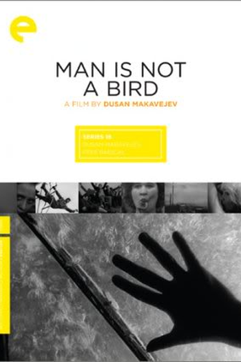Poster de Filme O Homem Não É Um Pássaro (1965)