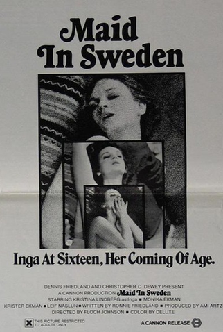 Poster 1 de Filme Maid in Sweden (1971)