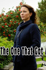 Segunda Chance para o Amor (The One That Got Away)